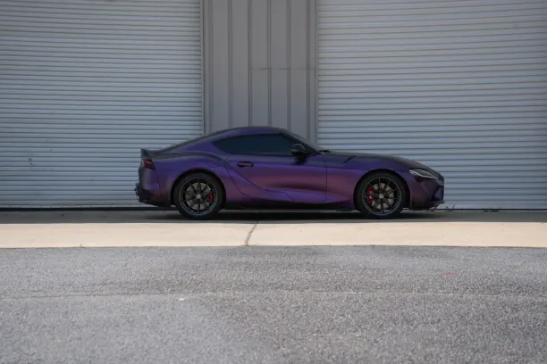 Casino Showreel Bingo Aplicación Android/iOS